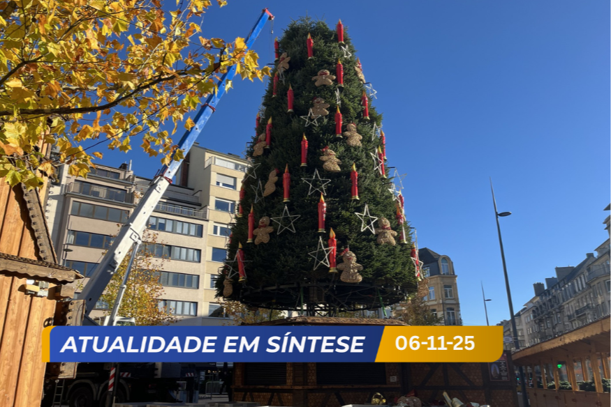 Já cheira a Natal. Mercados preparam-se para abrir